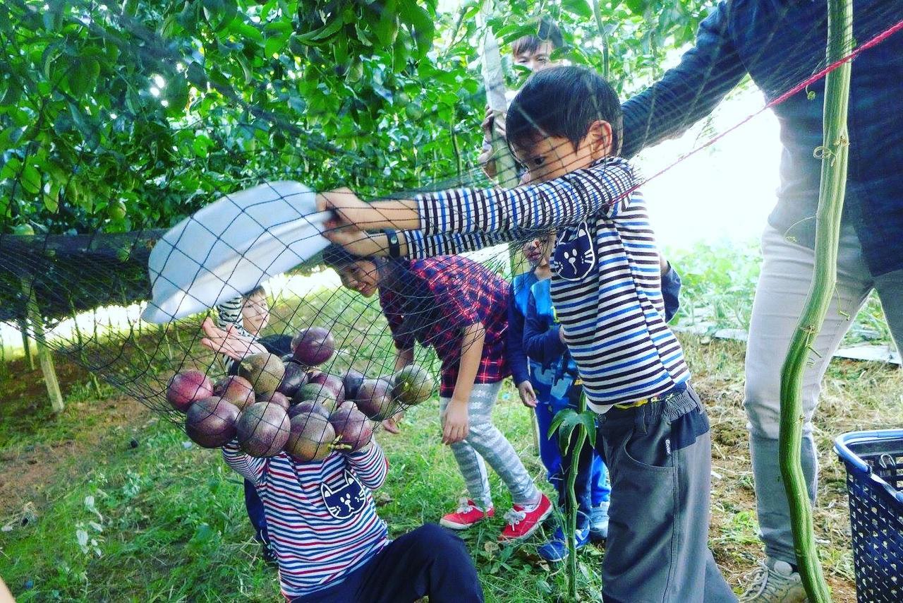 松风休闲民宿 埔里 外观 照片